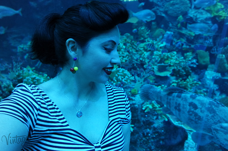 Dubai underwater Aquarium and zoo