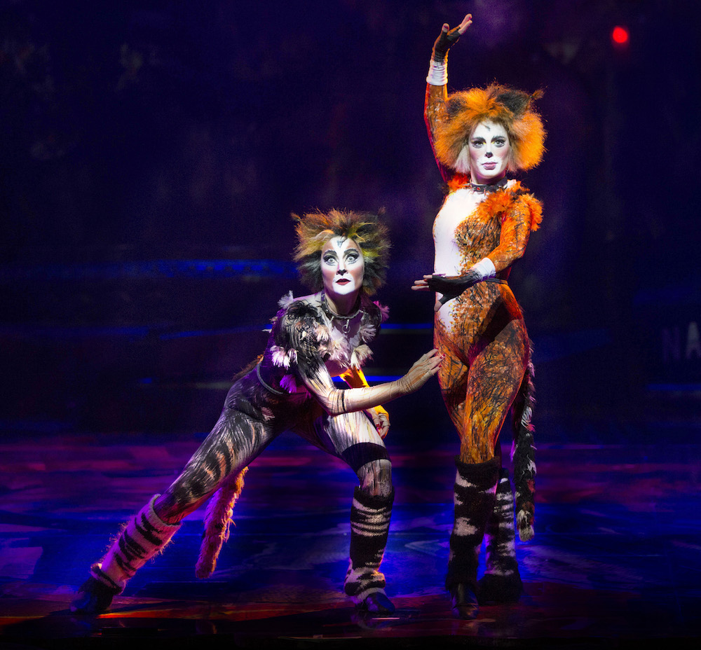 Cats The musical Melbourne